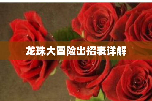 龙珠大冒险出招表详解图片