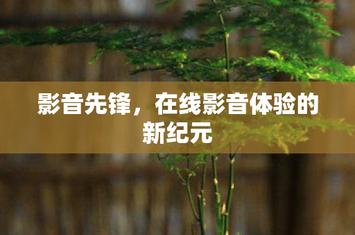 在线影音体验的新纪元图片