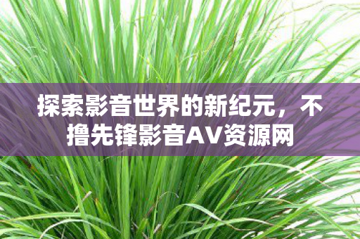 不撸先锋影音AV资源网图片
