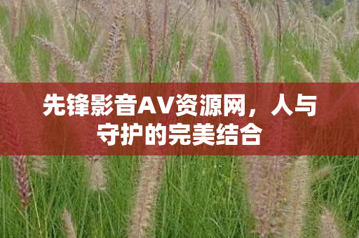 先锋影音AV资源网图片