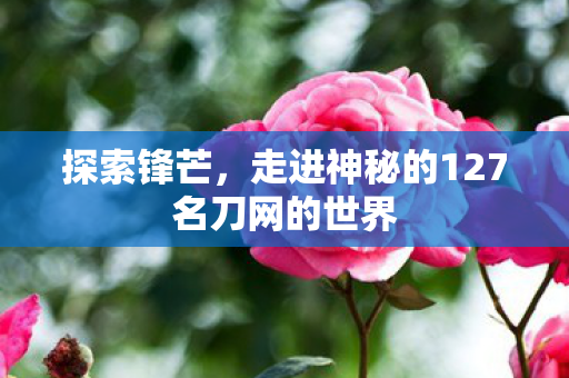 走进神秘的127名刀网的世界图片