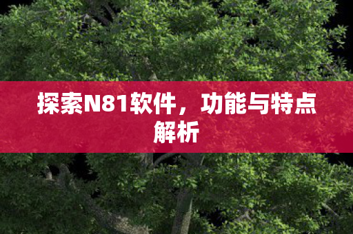 探索N81软件图片
