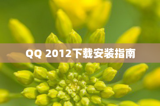QQ 2012下载安装指南图片