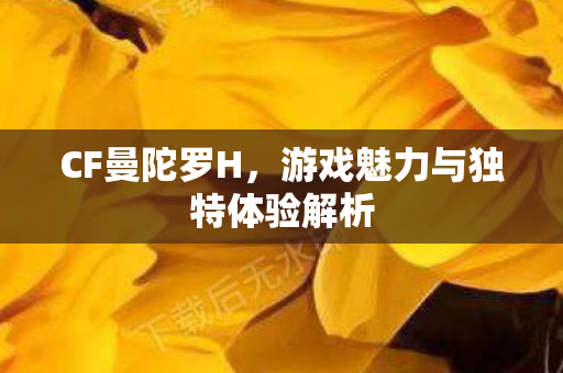 游戏魅力与独特体验解析图片