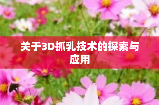 关于3D抓乳技术的探索与应用图片