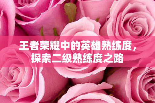 王者荣耀中的英雄熟练度图片