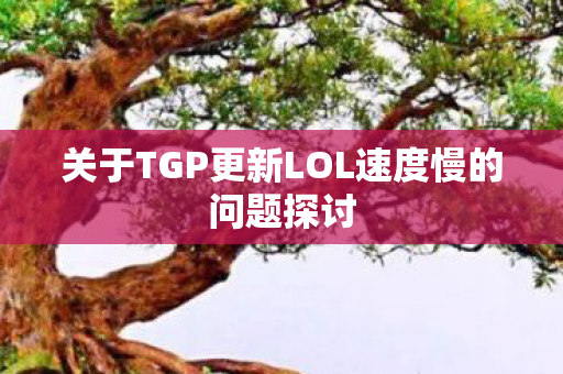 关于TGP更新LOL速度慢的问题探讨图片