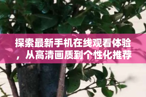 探索最新手机在线观看体验图片