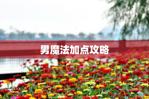 男魔法加点攻略图片