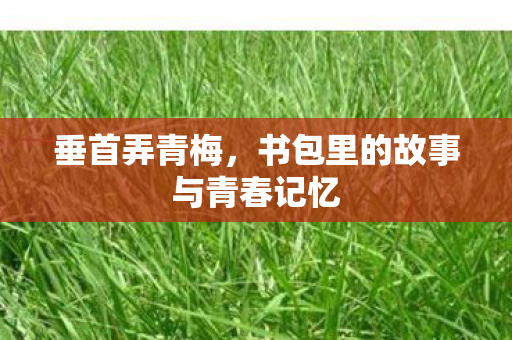 书包里的故事与青春记忆图片