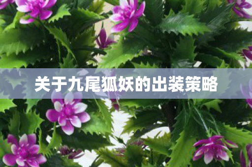 关于九尾狐妖的出装策略图片