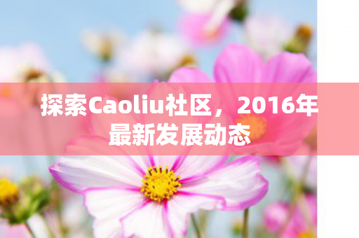 2016年最新发展动态图片