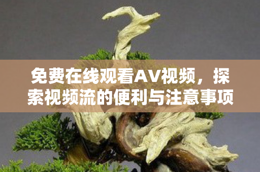 探索视频流的便利与注意事项图片