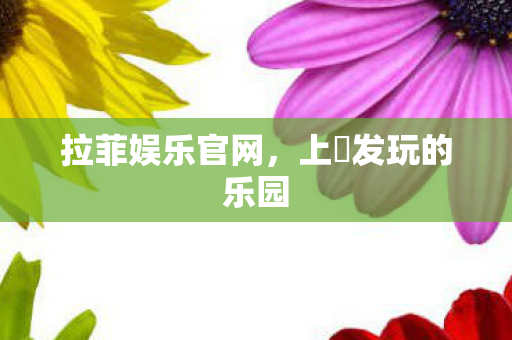 上浤发玩的乐园图片