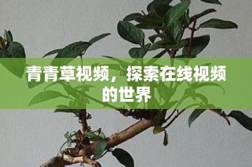 探索在线视频的世界图片