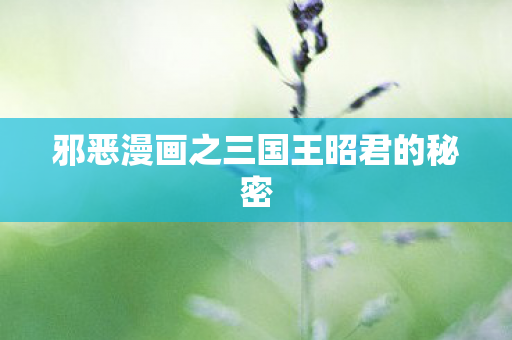 邪恶漫画之三国王昭君的秘密图片