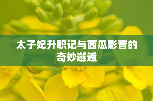 太子妃升职记与西瓜影音的奇妙邂逅图片