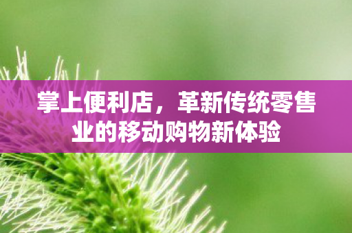 革新传统零售业的移动购物新体验图片