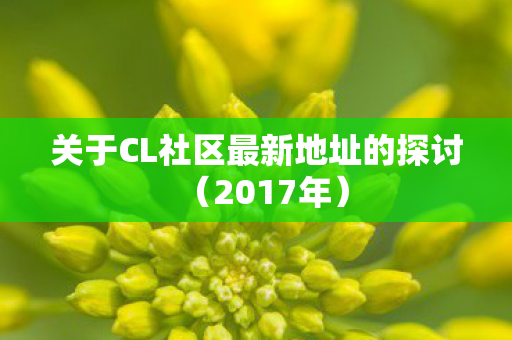 关于CL社区最新地址的探讨图片