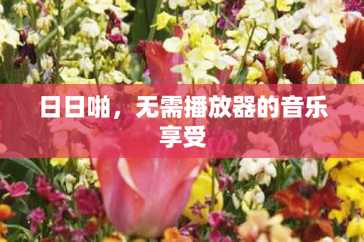 无需播放器的音乐享受图片