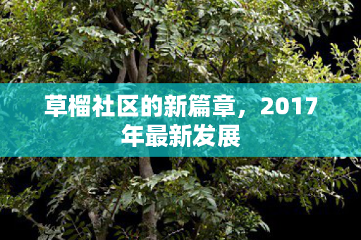 2017年最新发展图片
