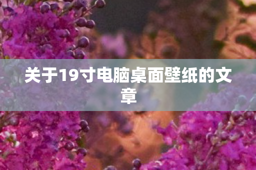 关于19寸电脑桌面壁纸的文章图片