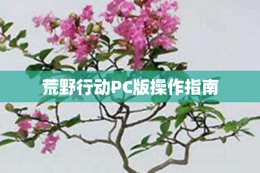 荒野行动PC版操作指南图片