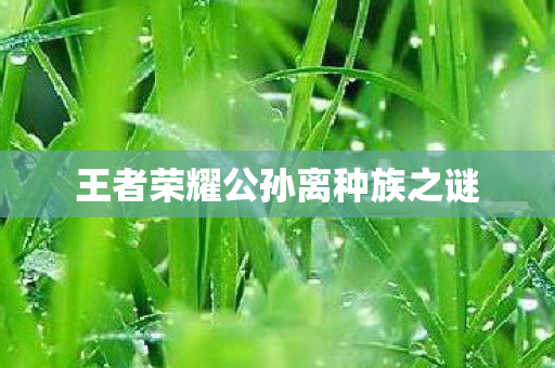王者荣耀公孙离种族之谜图片
