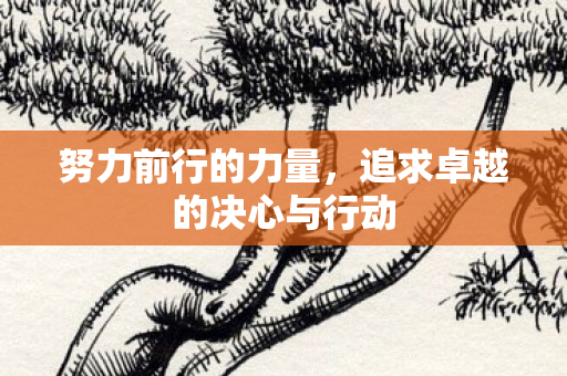 追求卓越的决心与行动图片