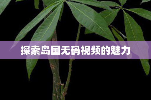 探索岛国无码视频的魅力图片