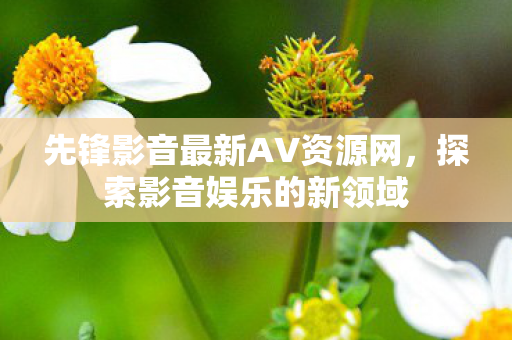 先锋影音最新AV资源网图片