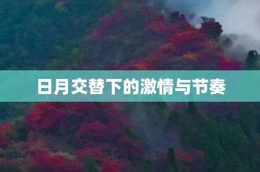 日月交替下的激情与节奏图片