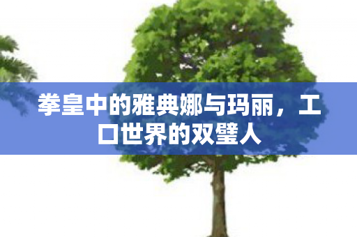 拳皇中的雅典娜与玛丽图片