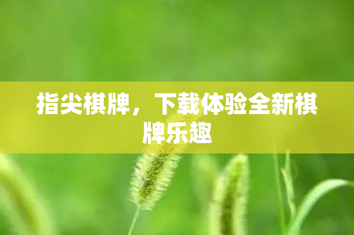 下载体验全新棋牌乐趣图片