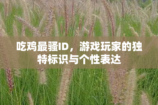 游戏玩家的独特标识与个性表达图片