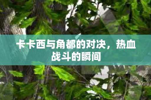 卡卡西与角都的对决图片