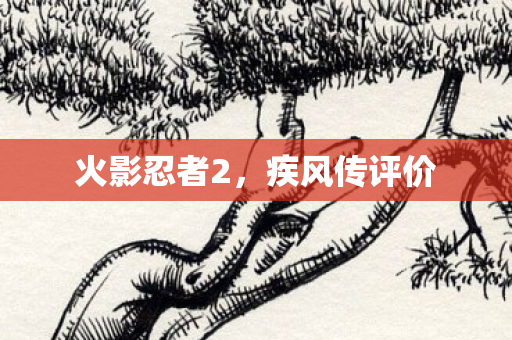火影忍者2图片