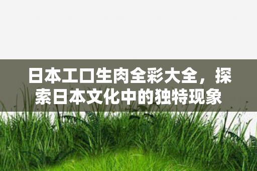 探索日本文化中的独特现象图片