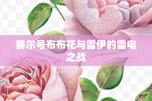 赛尔号布布花与雷伊的雷电之战图片