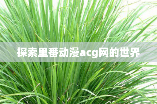 探索里番动漫acg网的世界图片
