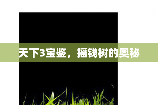 摇钱树的奥秘图片