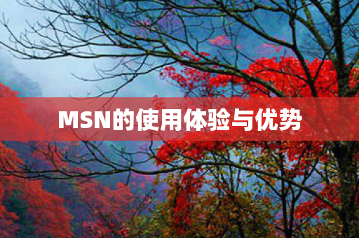 MSN的使用体验与优势图片
