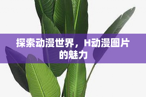 H动漫图片的魅力图片