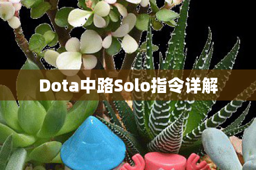 Dota中路Solo指令详解图片