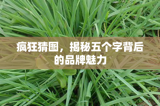 揭秘五个字背后的品牌魅力图片