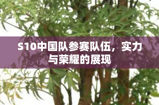 S10中国队参赛队伍图片