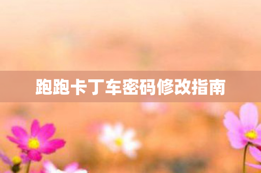 跑跑卡丁车密码修改指南图片