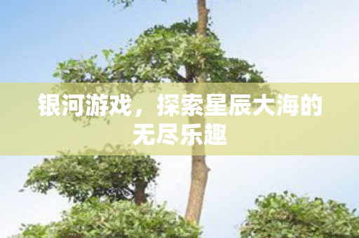 探索星辰大海的无尽乐趣图片