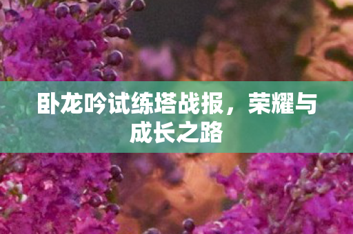 卧龙吟试练塔战报图片