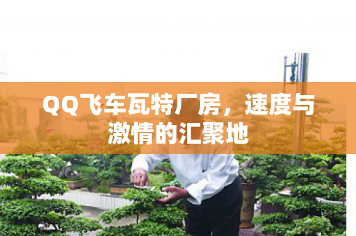 速度与激情的汇聚地图片